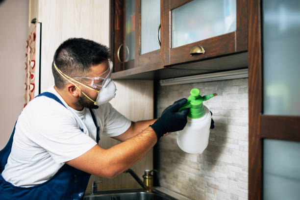 Best Pest Removal Services  in Longboat Key, FL