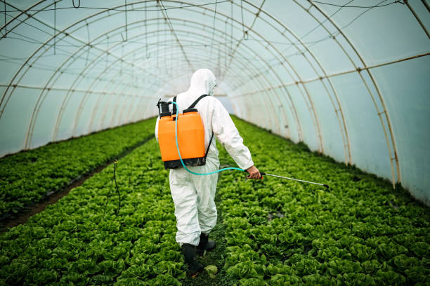 Best Affordable Pest Control Services  in Longboat Key, FL
