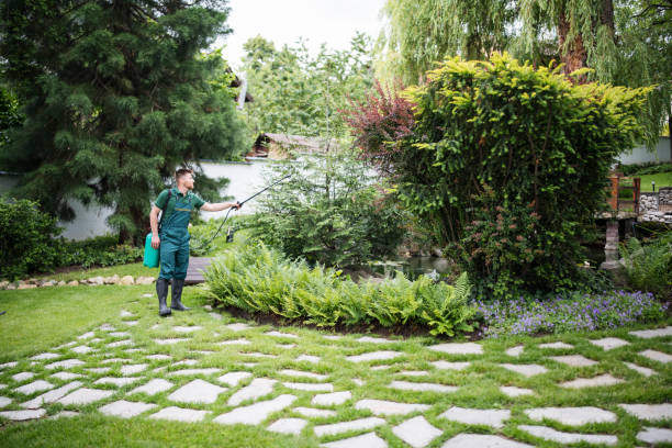 Best Pest Control Cost  in Longboat Key, FL
