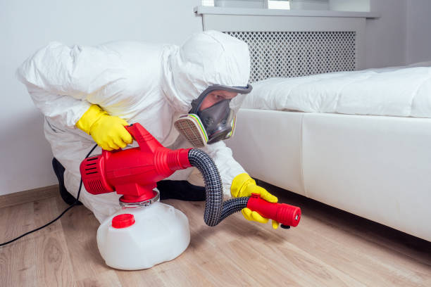 Best Bed Bug Extermination  in Longboat Key, FL