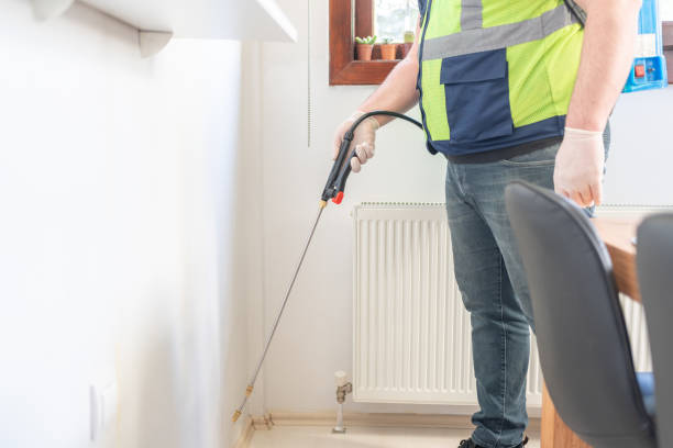 Best Flea Control Services  in Longboat Key, FL