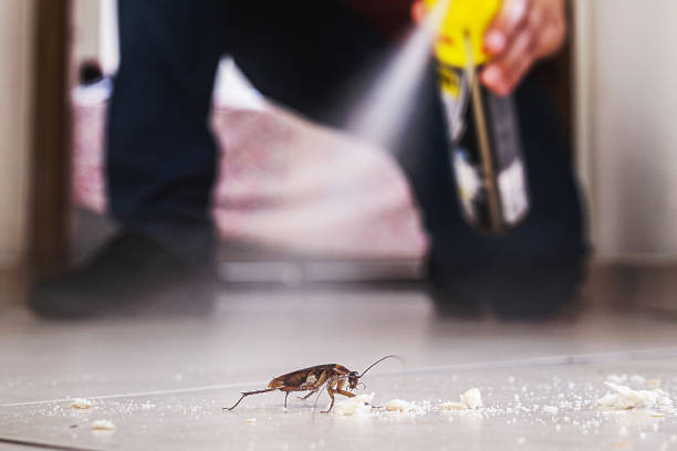 Best Best Pest Control Companies  in Longboat Key, FL